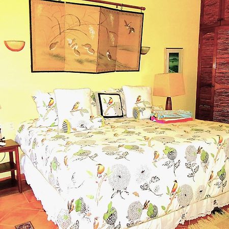 Casa Gatos Aparthotel Akumal Ngoại thất bức ảnh