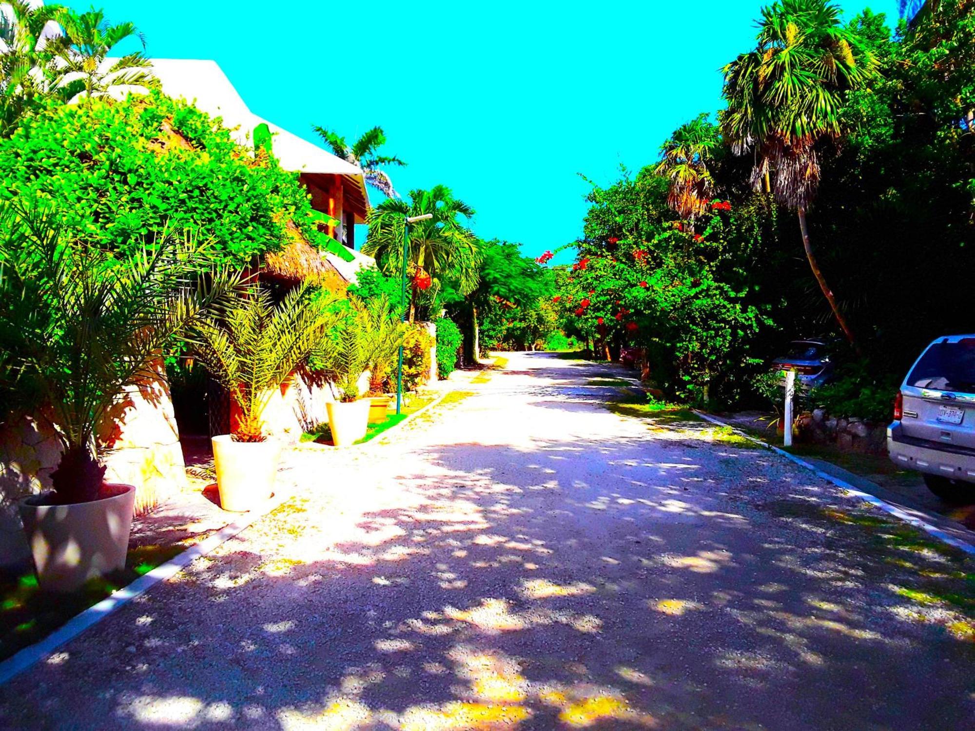 Casa Gatos Aparthotel Akumal Ngoại thất bức ảnh