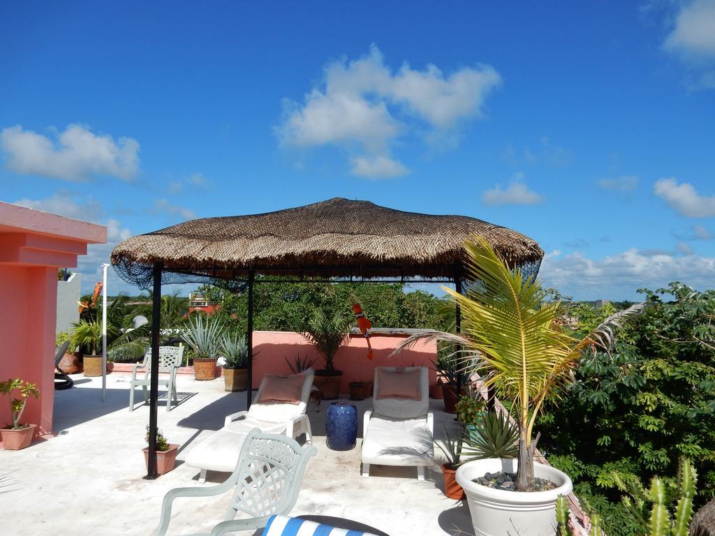 Casa Gatos Aparthotel Akumal Ngoại thất bức ảnh